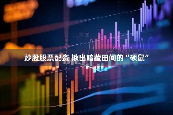 炒股股票配资 揪出暗藏田间的“硕鼠”