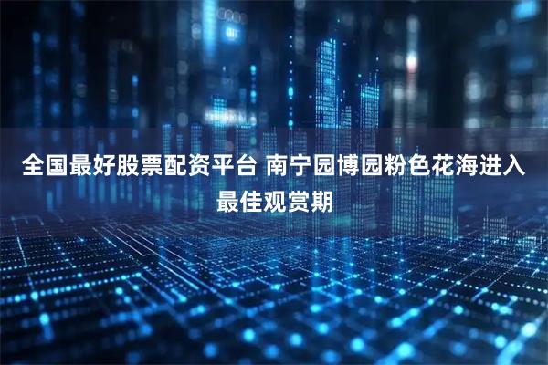 全国最好股票配资平台 南宁园博园粉色花海进入最佳观赏期
